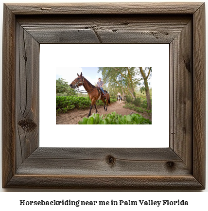 horseback riding near me in Palm Valley, Florida